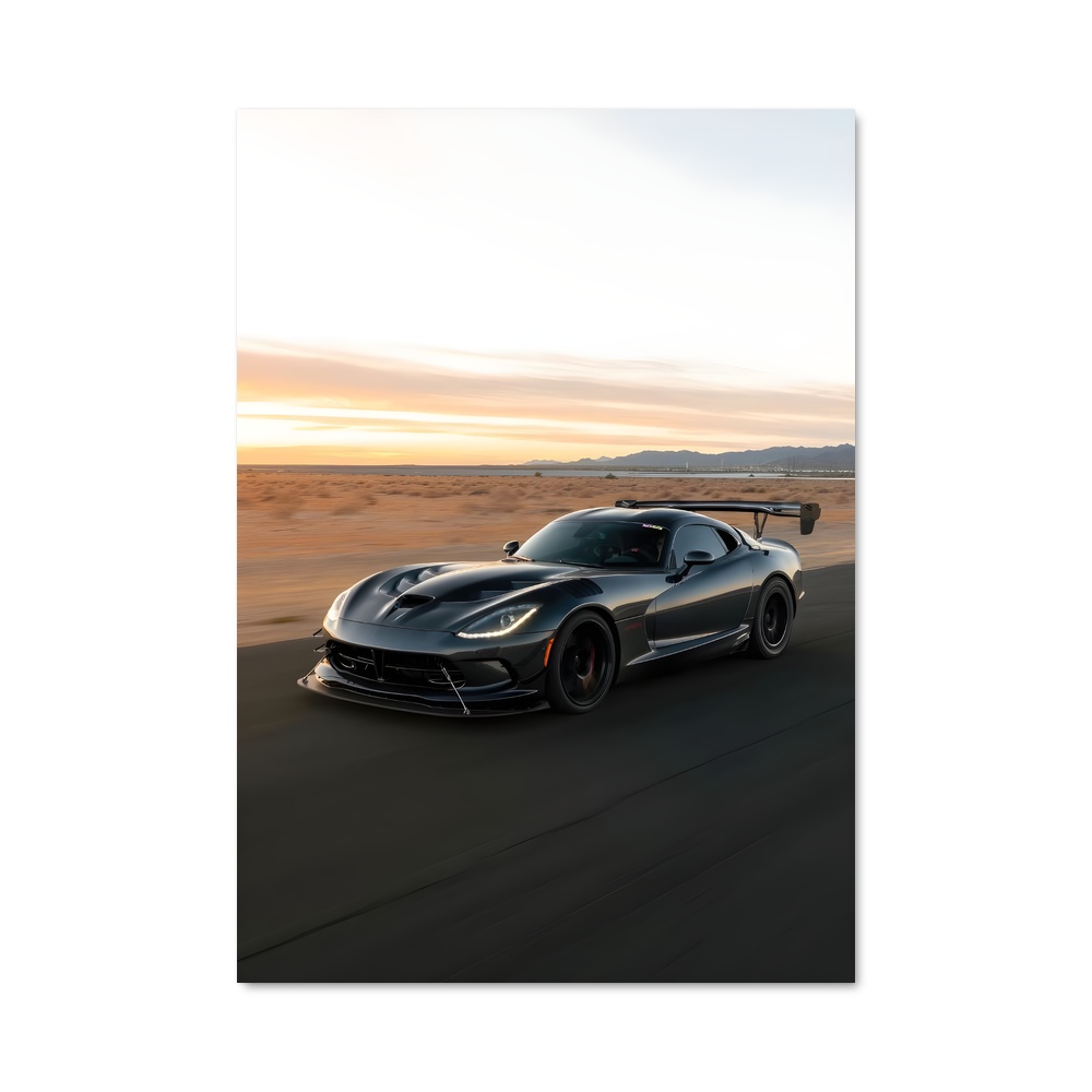 Poster Viper 2020